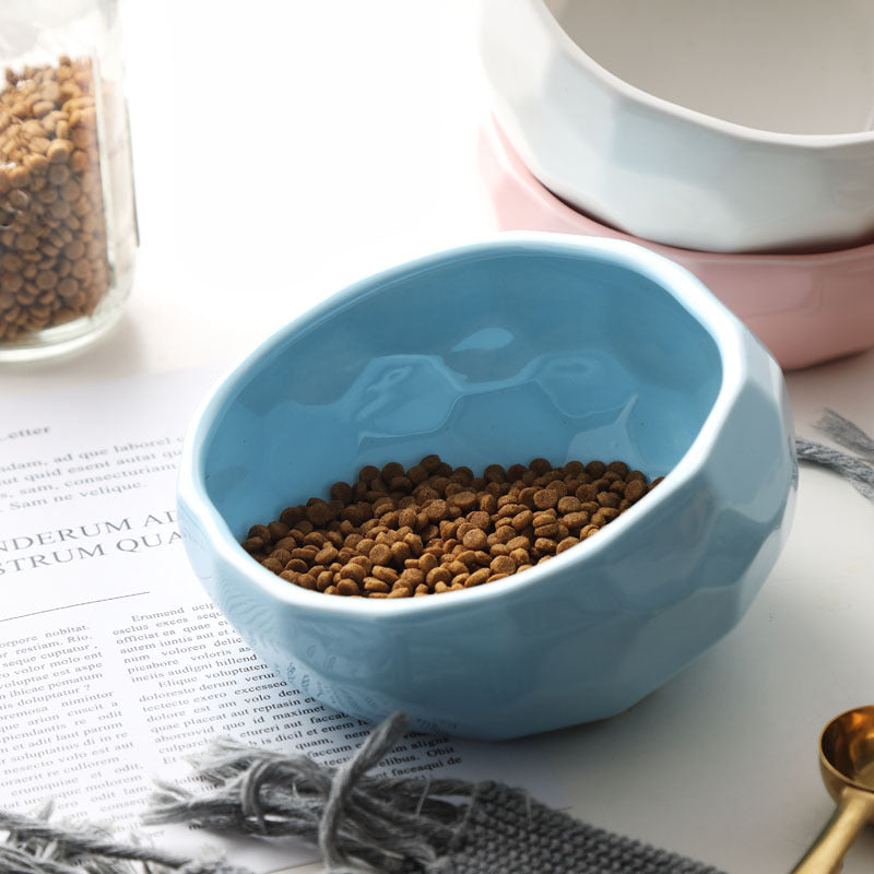 Cat And Dog Bowl